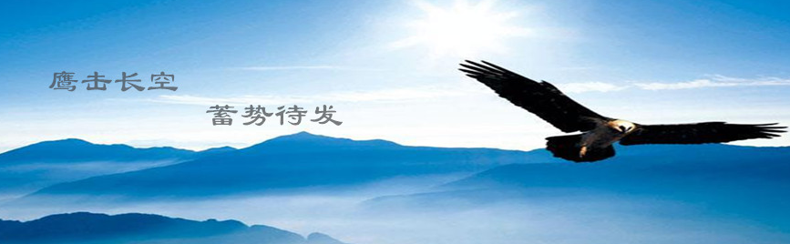 全面加快推进航空港实验区建设