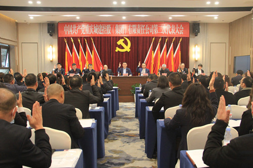  公司第二次党代会胜利闭幕