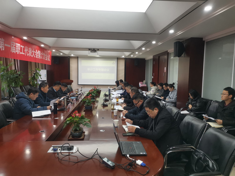 安建建材召开审计工作专题会