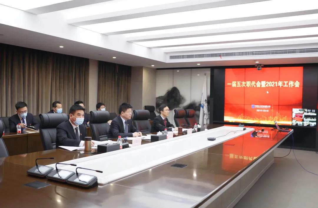 袁文清以视频方式出席东方装饰2021年“三会”