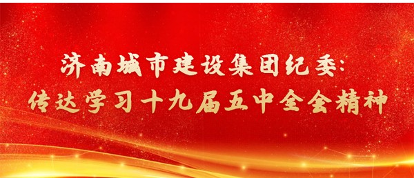 集团纪委传达学习十九届五中全会精神