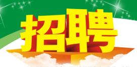 西安市鑫龙建筑装饰工程（集团）有限公司招聘—bim设计师