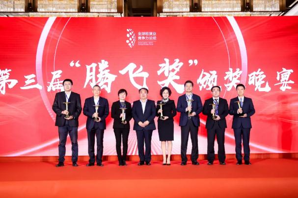 津门传喜讯！宏信建发再获殊荣！