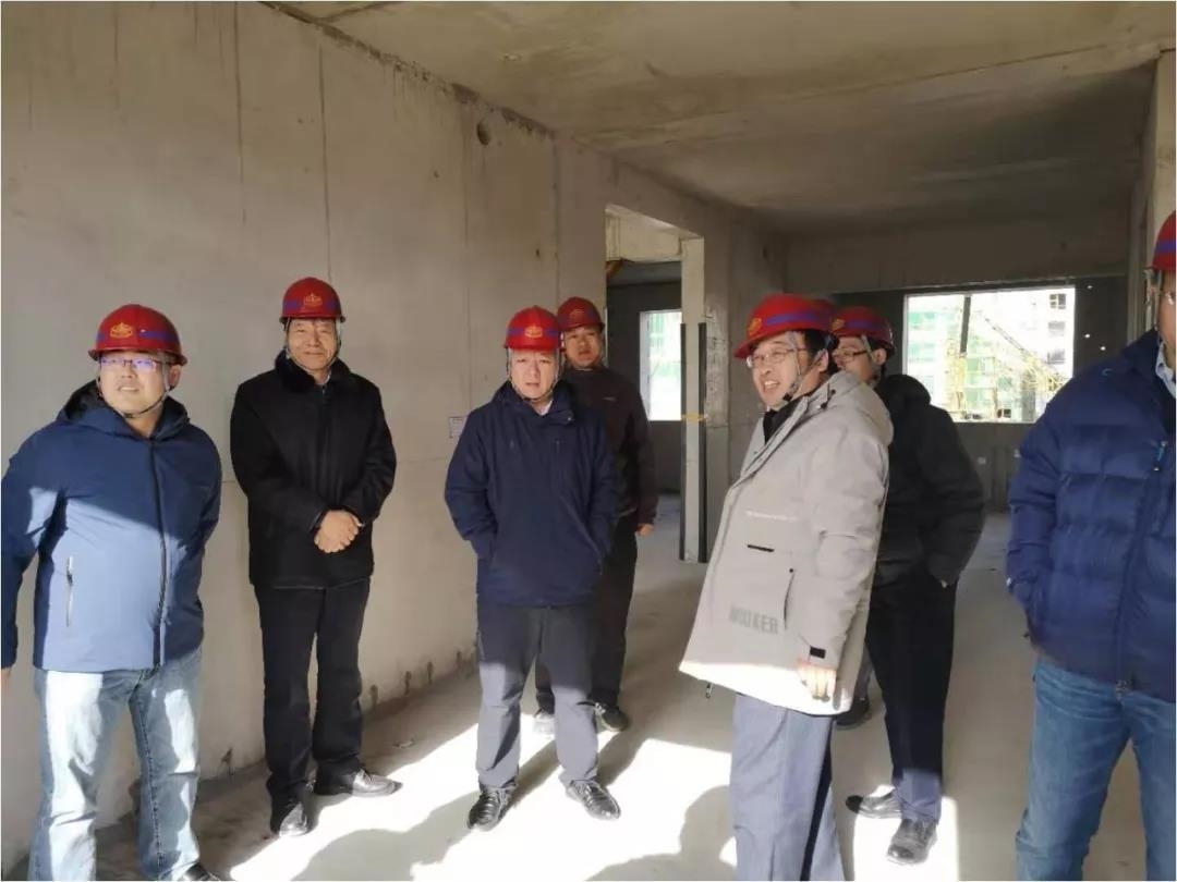 “十三五”国家重点课题专家组到新兴建设大兴区旧宫工程调研