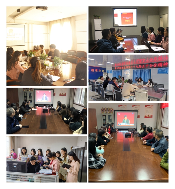 九建团员青年认真学习五中全会精神