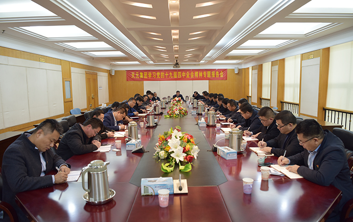 天元集团召开学习党的十九届四中全会精神专题报告会
