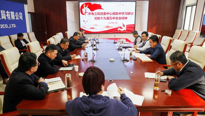 公司党委中心组集中学习党的十九届五中全会精神