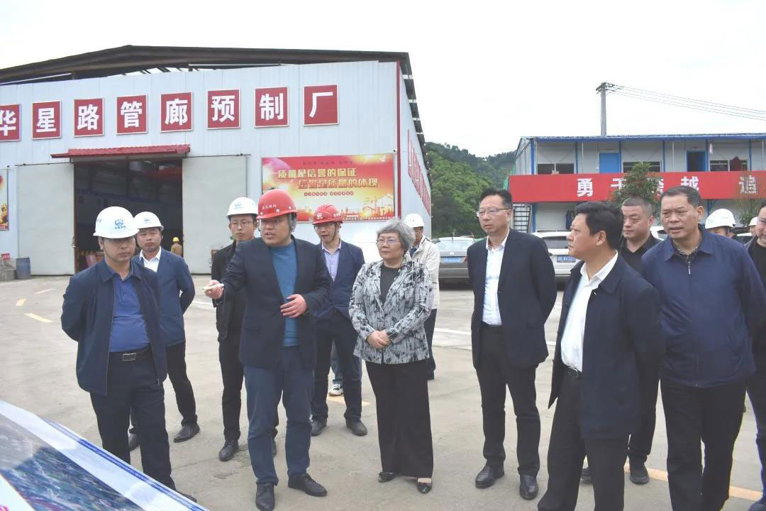 娄底市人大常委会副主任石秀萍到娄底项目检查指导