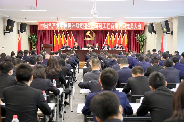 公司党员大会在武汉胜利召开
