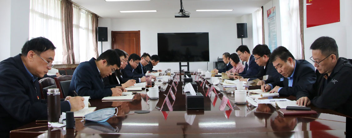 集团党委理论学习中心组开展党史学习教育专题学习