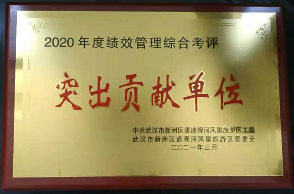喜讯！公司荣获“2020年度绩效管理综合考评突出贡献单位”奖