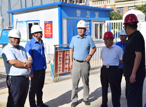 包头市住建局副局长水波一行到中国二冶包头市新区商务大厦、都市庭苑项目检查指导