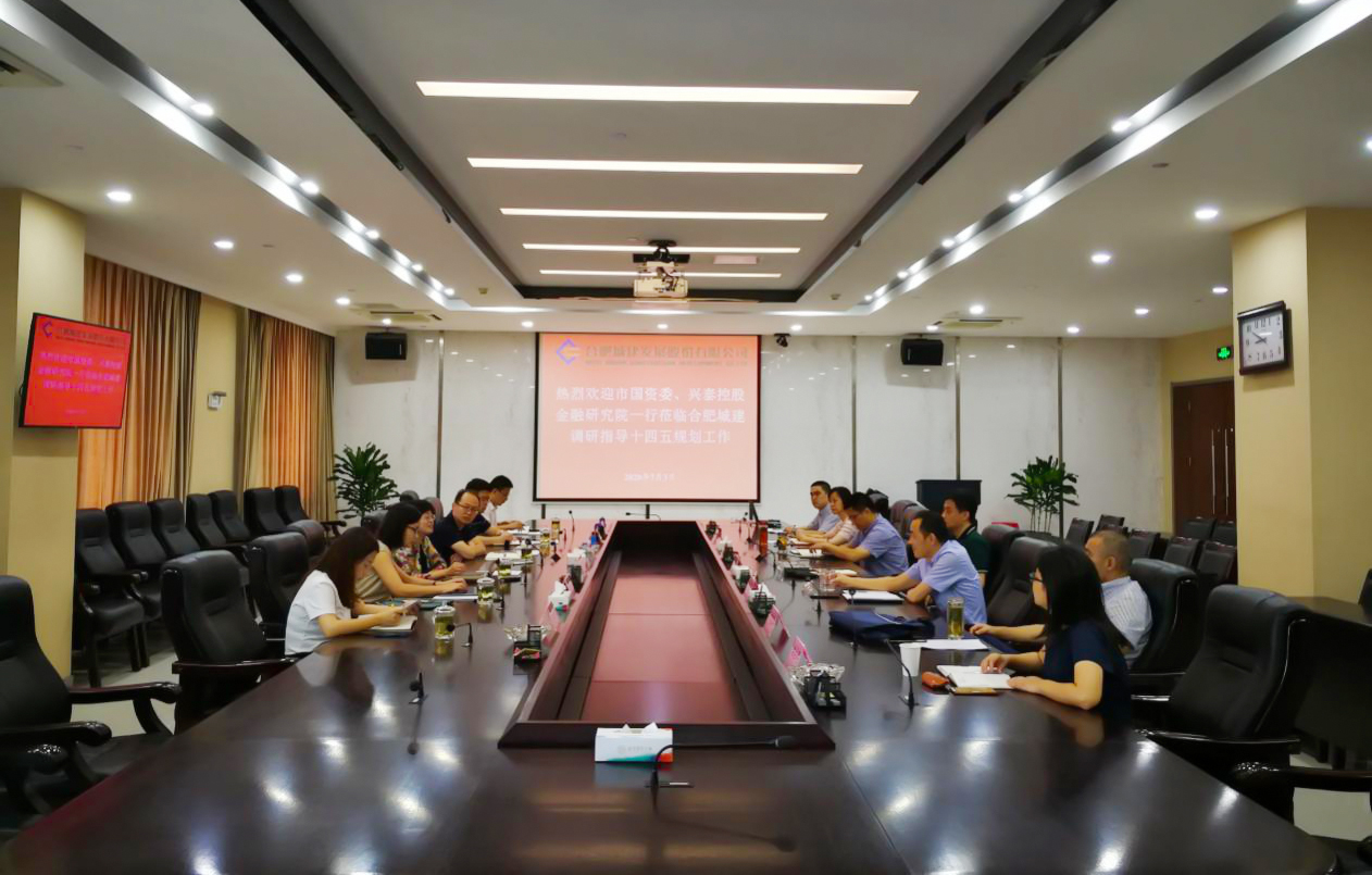 市国资委领导调研指导合肥城建“十四五”发展规划编制工作
