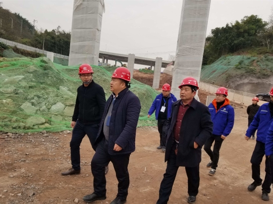 陈永平到重庆一纵线北碚三标项目检查指导工作