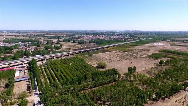一年过去了，总书记视察过的“千年秀林”又有新变化
