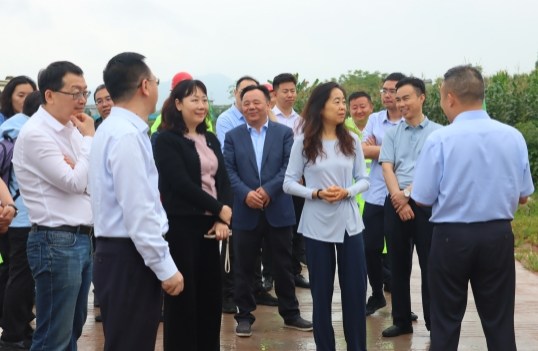 国家开发银行股权董事葛蓉蓉到天眉乐高速公路项目调研