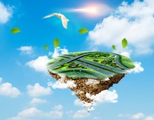 中化学城市投资有限公司招聘公告