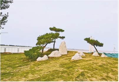 郑州黄河滩地公园生态景观慢行系统月底开放