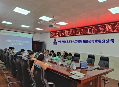 林天缙、殷正康参加水电公司亏损项目治理工作专题会