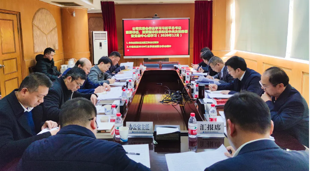 公司党委理论学习中心组开展学习研讨