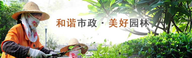 强化责任落实 筑牢安全基石——城建集团扎实开展“安全生产月”培训系列活动