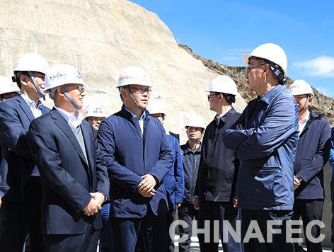 全国政协农业和农村委员会副主任陈雷一行考察调研公司西藏项目