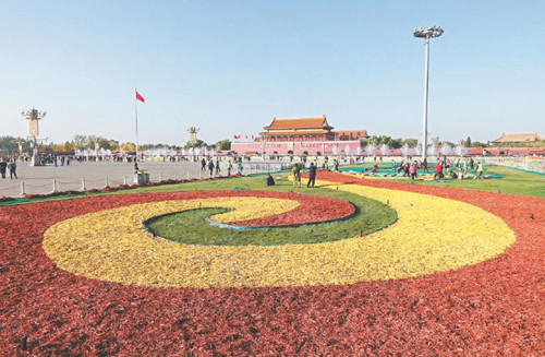 天安门广场绿地首次“彩妆”过冬