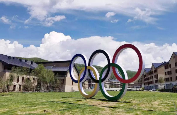 倒计时200天！北京冬奥会多个场馆建设的“众能元素”