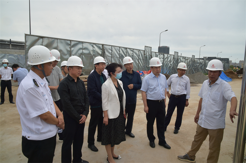 贾丽娜副市长调研长发集团市卫健委代建项目