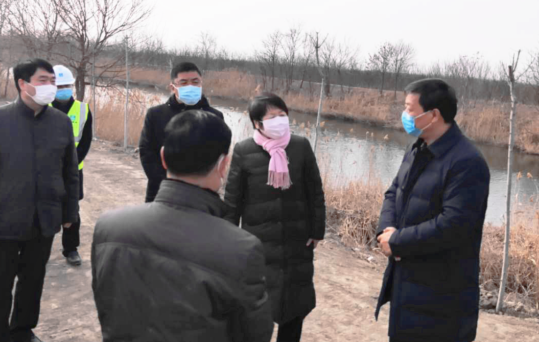 天津市西青区委书记李清视察大沽排水河沿岸生态修复工程项目