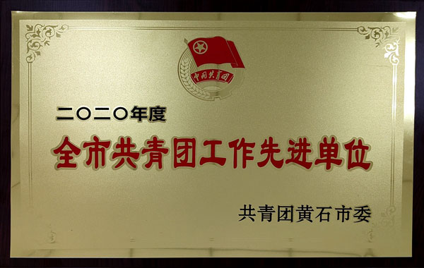 中国十五冶团委荣获全市共青团工作先进单位