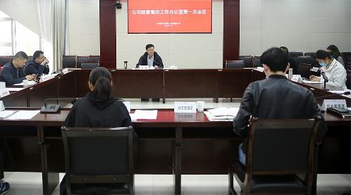 【再提高再具体再加大】公司召开2020年巡察整改工作办公室第一次会议