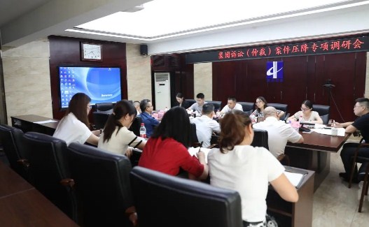 湖南四建集团总法律顾问方拯率队到公司开展诉讼（仲裁）案件压降专项调研