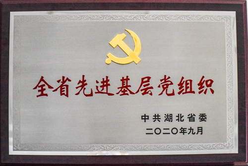 中国一冶交通公司党委获湖北省抗疫表彰