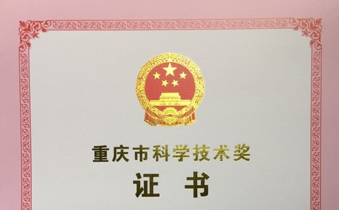  重庆城建公司科技成果获重庆市科技进步三等奖