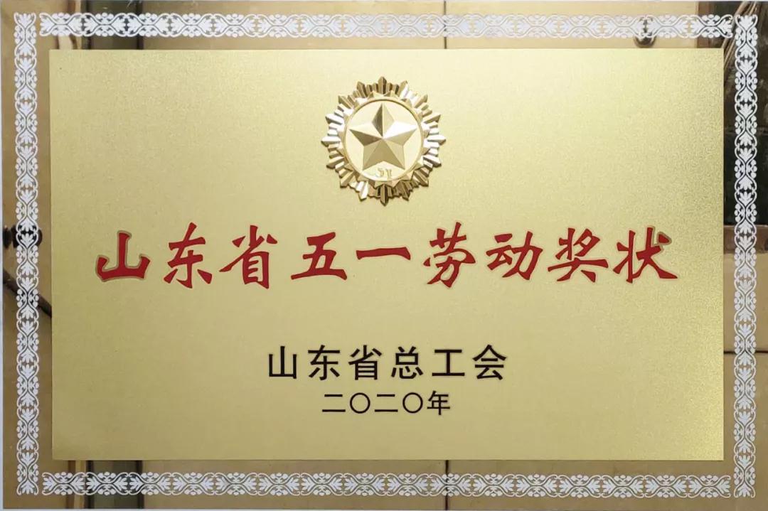 喜讯 | 临工重机荣获“山东省五一劳动奖状”
