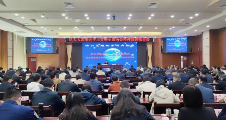 宋领应邀为硚口区作学习贯彻全国两会精神宣讲报告