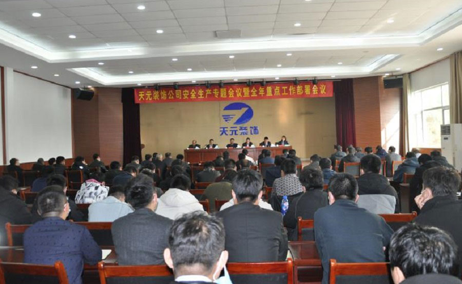 公司召开安全生产专题工作会议暨全年重点工作部署会议