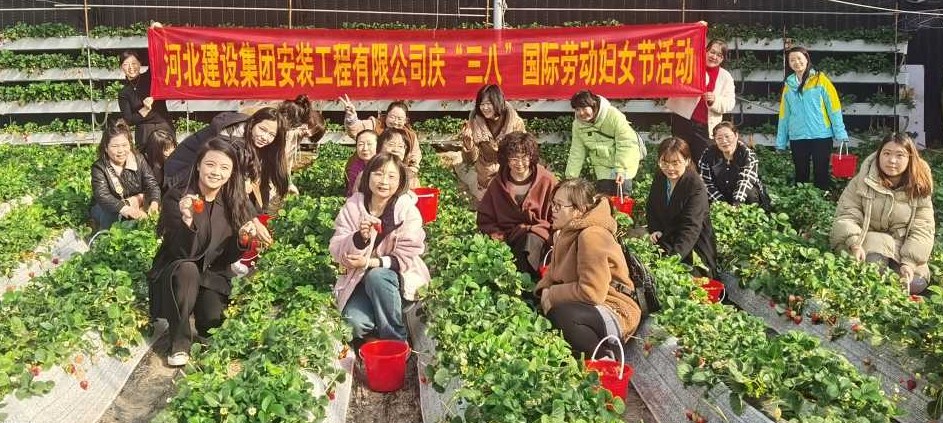 河北建安公司组织女员工妇女节采摘活动