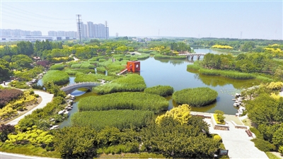 【行业资讯】天津这样增加绿色空间提升区域品质和生态环境