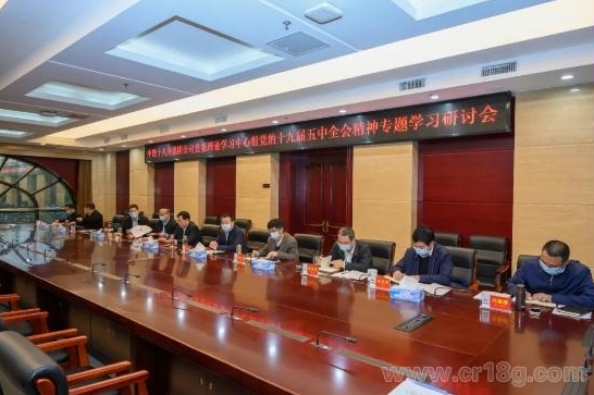 集团公司党委理论学习中心组深入学习研讨党的十九届五中全会精神
