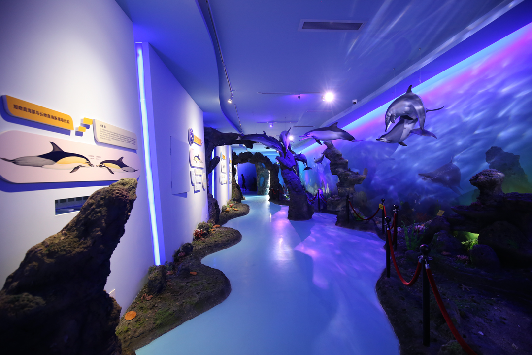 我司承接的惠州市渔业研究推广中心海洋生态系统文化展厅布展项目圆满竣工验收！