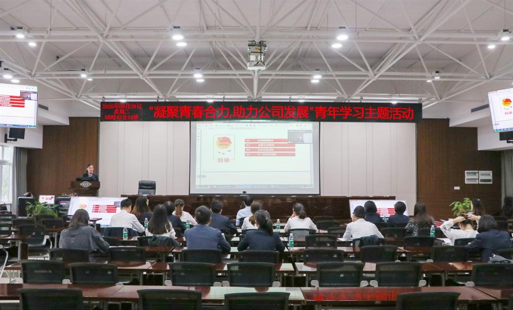 凝聚青春合力，助力公司发展——公司召开青年员工座谈会