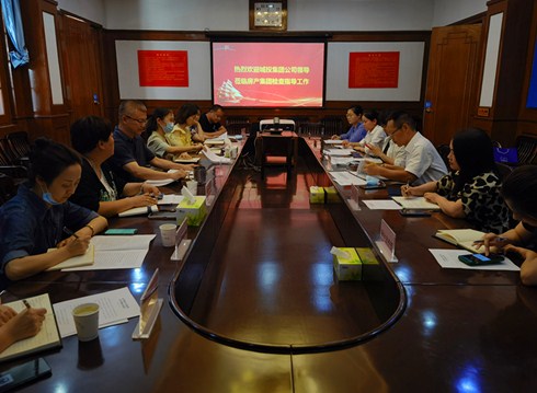 城投集团清廉国企建设资产专班到公司开展专项检查