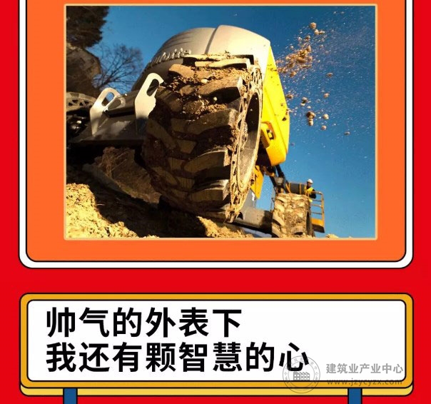 1111.jpg