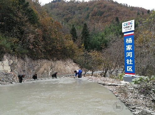 05.jpg