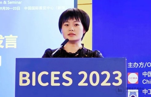 05.jpg
