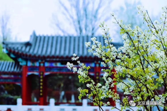 10.png 10.png