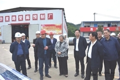娄底市人大常委会副主任石秀萍到娄底项目检查指导