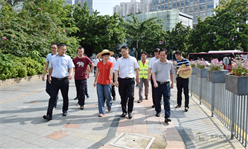 深圳市交通运输局局长于宝明一行调研深南大道罗湖段品质提升工程